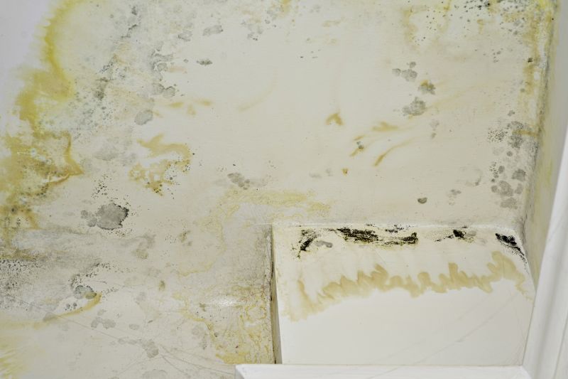 Air Duct Mold Removal in Bergen County, NJ