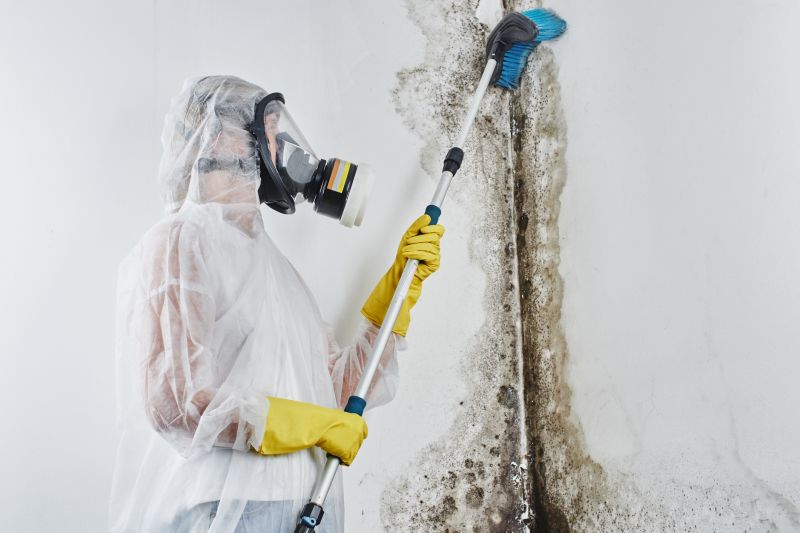 Attic Mold Remediation in Dallas, TX
