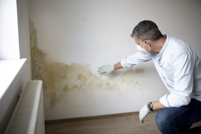 Basement Mold Remediation in Fort Lauderdale, FL