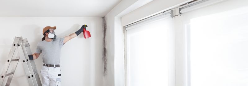 Basement Mold Removal in Broward County, FL