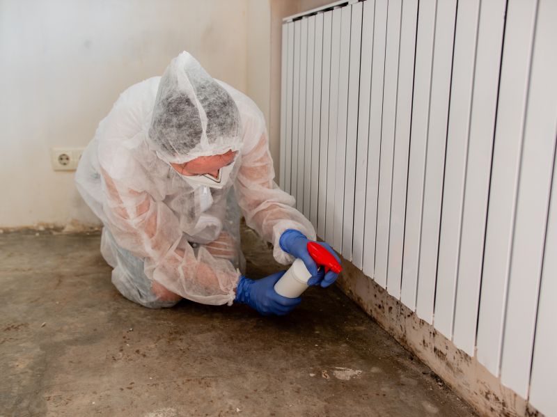 Black Mold Remediation in Fort Lauderdale, FL