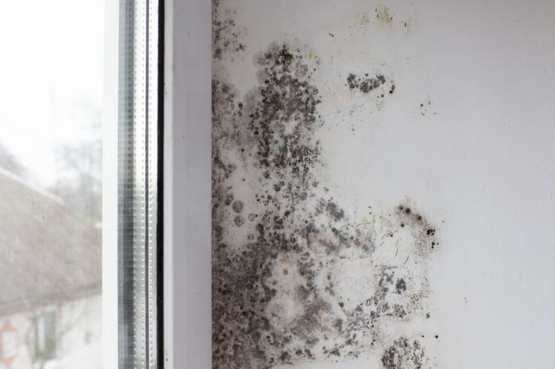Ceiling Mold Removal in Fort Worth, TX