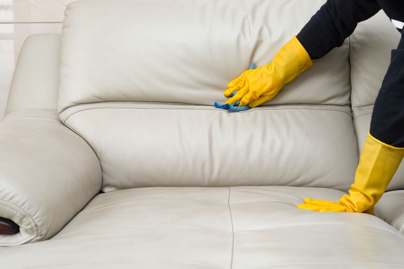 Couch Cleaning Service in Sanford, FL