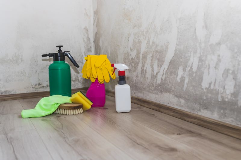 Crawlspace Mold Remediation in Bergen County, NJ