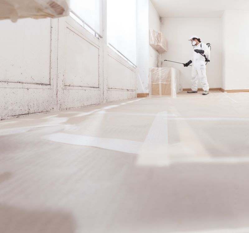 Crawlspace Mold Remediation in Broward County, FL