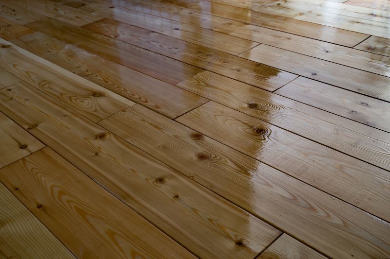 Wood Floor Polishing
