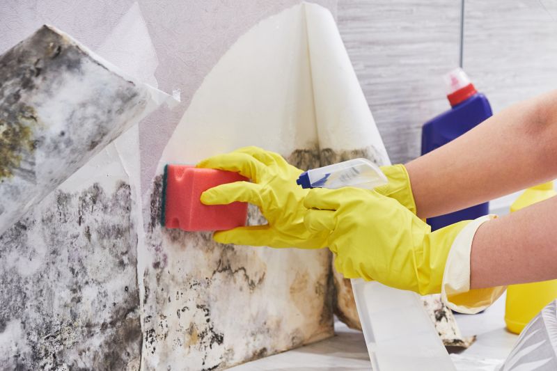 Garage Mold Remediation in Fort Worth, TX