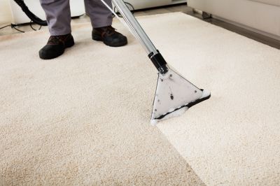 Deep Carpet Extraction