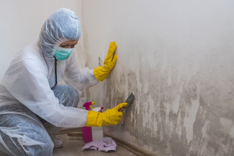 Mold Mitigation Service in Jupiter, FL
