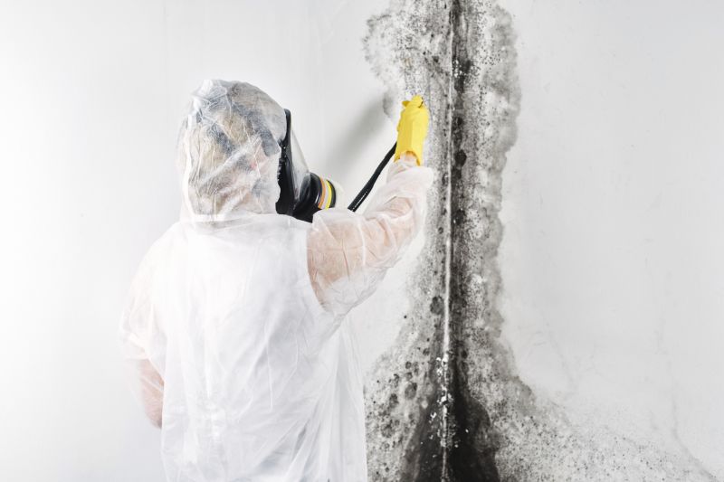 Mold Mitigation Service in Dallas, TX