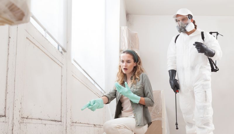 Mold Remediation Service in Frisco, TX