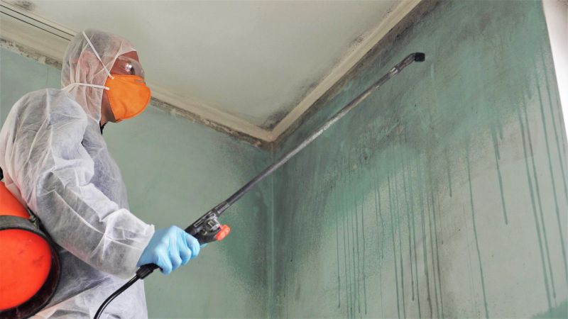 Air Duct Mold Removal in Boca Raton, FL