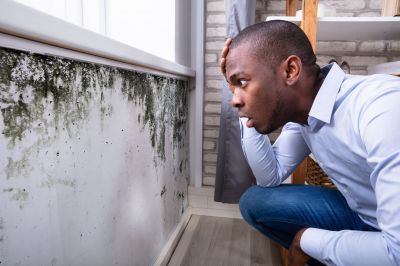 Black Mold Removal in Plano, TX