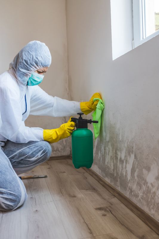 Crawl Space Mold Removal in Bergen County, NJ