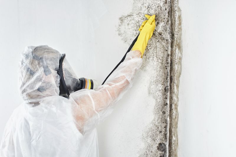 Mold Control in Palm Beach County, FL