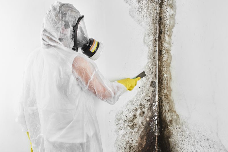 Mold Removal in Fort Lauderdale, FL