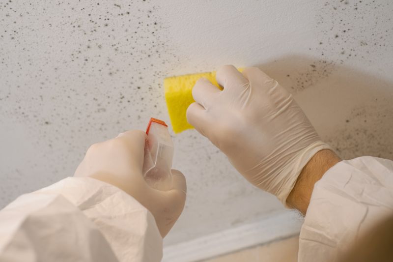 White Mold Mitigation in Jupiter, FL